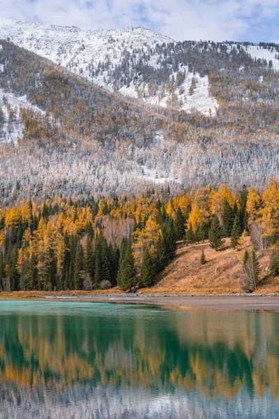 Herbstliche Sicht Auf Wald Und Fluss Kanas Provinz Xinjiang China — Stockfoto