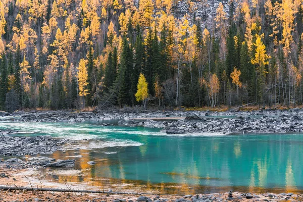 Kanas Xinjiang Çin Deki Orman Nehrin Sonbahar Manzarası — Stok fotoğraf