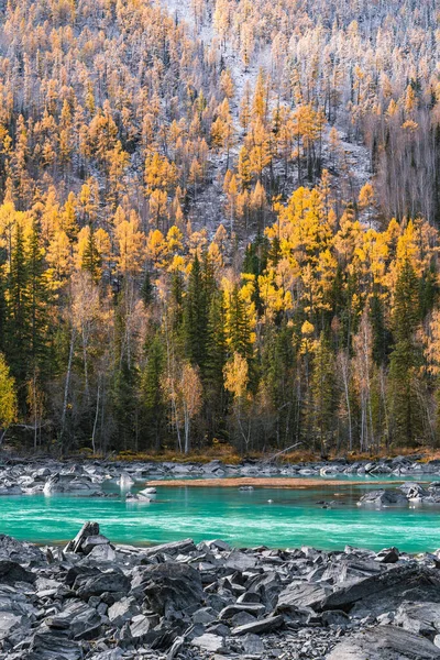 Kanas, Xinjiang, Çin 'deki orman ve nehrin sonbahar manzarası.