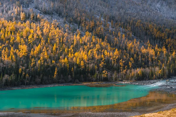 Vista Outono Floresta Rio Kanas Província Xinjiang China — Fotografia de Stock