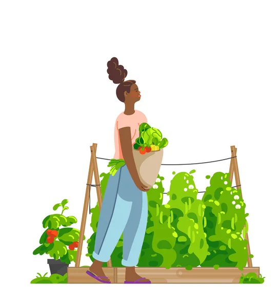 微笑的非洲女人提着满满一篮子的收获蔬菜在菜园里 木制的花园床 盆中放着青豆和西红柿 用于园艺或耕作 矢量平面插图 — 图库矢量图片