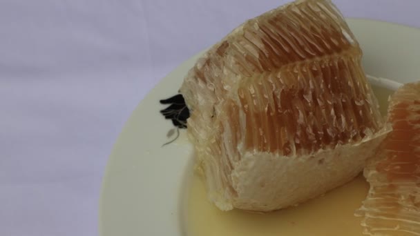 Κοντινό Πλάνο Πρωτότυπο Βιολογικό Καθαρό Μέλι — Αρχείο Βίντεο