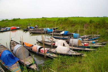 Bangladeş 'teki Padma nehrinin yeşil kıyısındaki birkaç ahşap balıkçı teknesinin güzel manzarası