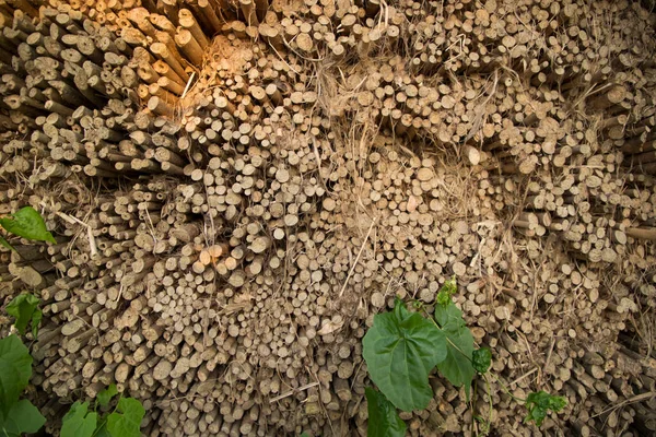 Wiersze Wiersze Brązowego Jute Sticks Tekstury Tła Pola — Zdjęcie stockowe