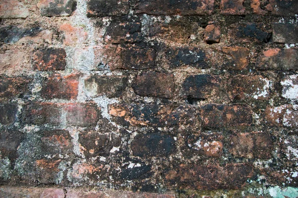 Detailed Close View Old Brick Walls Historical Buildings Background Texture — Foto Stock