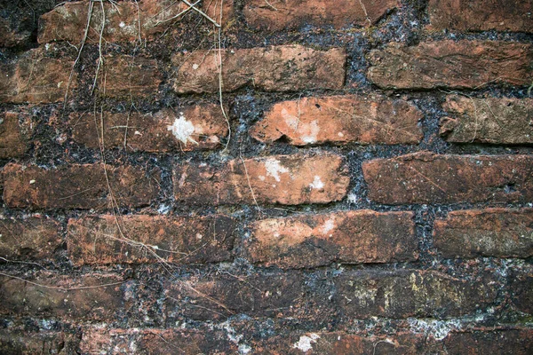 Detailed Close View Old Brick Walls Historical Buildings Background Texture — Stockfoto