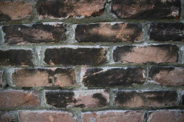 Detailed Close View Old Brick Walls Historical Buildings Background Texture — ストック写真