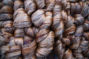 Thick Golden bundle of Wet raw jute fiber Texture Background