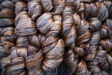 Thick Golden bundle of Wet raw jute fiber Texture Background