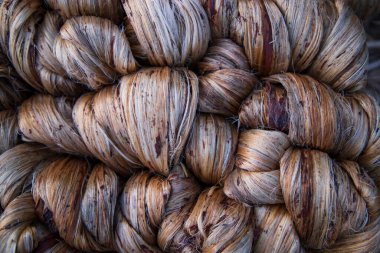 Thick Golden bundle of Wet raw jute fiber Texture Background