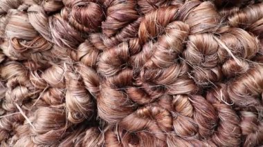 Close-up shot of thick bundles of Wet raw jute fiber Texture Background