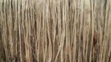 Close-up shot of raw jute fiber hanging under the air for drying. Brown jute fiber texture background  