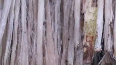 Close-up shot Hanging Raw jute fiber swings in the air