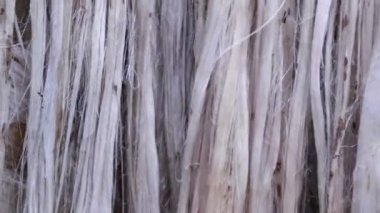 Close-up shot Hanging Raw jute fiber swings in the air