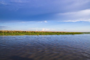Bangladeş 'teki Padma nehrinin güzel manzarası