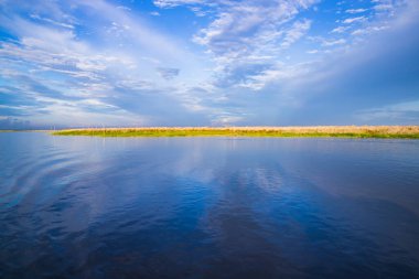 Bangladeş 'teki Padma nehrinin güzel manzarası