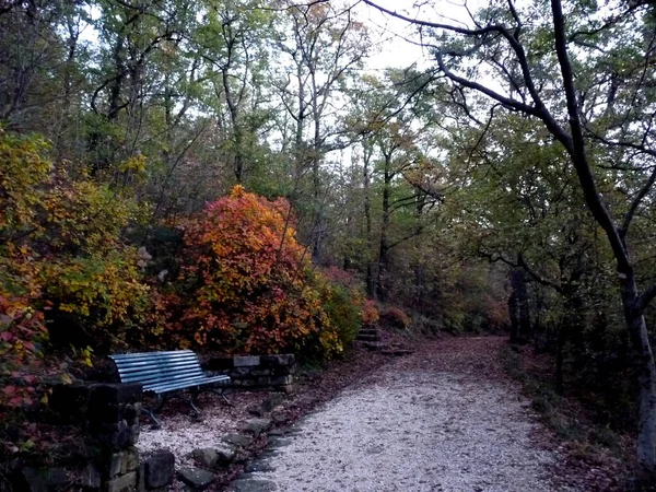 秋天有长椅的城市公园 — 图库照片