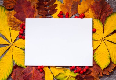 Sarı sonbahar yaprakları arasında notlar için beyaz bir kağıt parçası yatıyor..