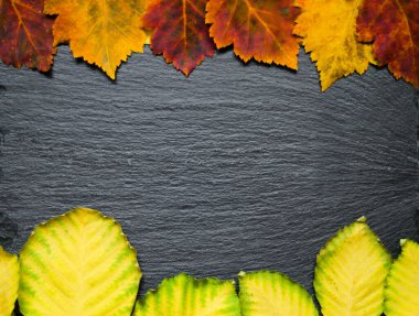 Sarı ve kırmızı sonbahar yaprakları siyah taş yüzeyde yatar. Yazıtlar için yer.