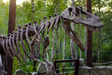 Yeşil ağaçların arasında ağzı açık bir etobur dinozorun iskeleti duruyor..