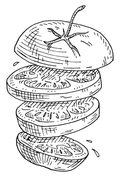 飞的西红柿片 古埃及矢量雕刻黑色单色插图 被白色背景隔离 手绘设计油墨 — 图库矢量图片