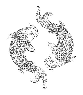 İki sazan balığı. Yin yang sembolü. Klasik oyma monokrom çizimi. Beyazda izole edilmiş