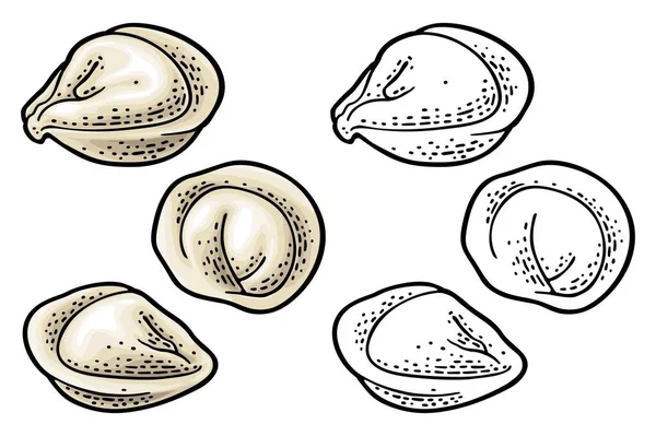 Dumpling. Ilustración de grabado vectorial de color vintage. Aislado sobre blanco — Archivo Imágenes Vectoriales