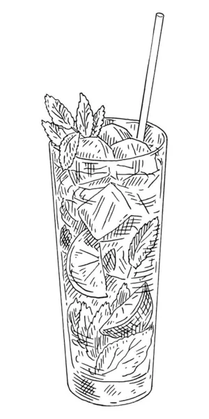 Cóctel Mojito Con Lima Menta Vaso Tubo Vintage Vector Grabado — Vector de stock