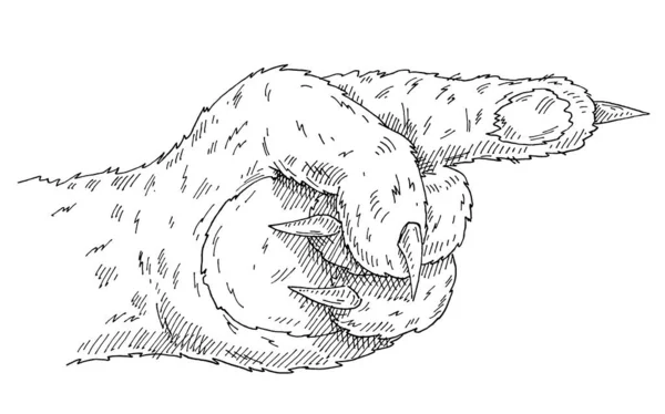 Δείχνοντας το πόδι της γάτας. Hand sign for web, αφίσα, πληροφορίες γραφικό — Διανυσματικό Αρχείο