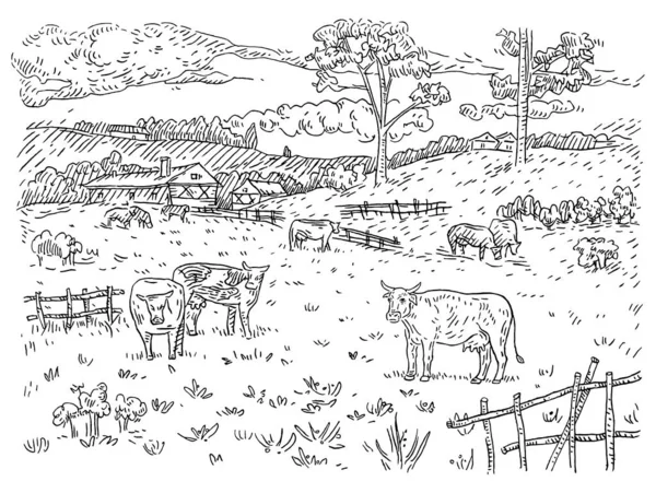 Las vacas pastan en el prado. Grabado negro vintage — Vector de stock