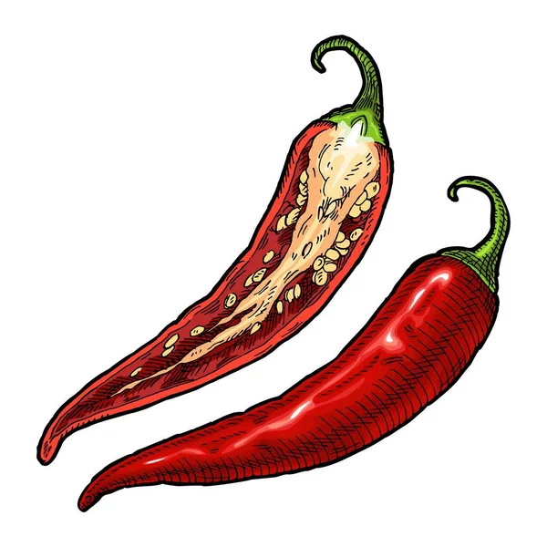 De helft en hele peper chili. Vintage vector uitbroeden kleur illustratie — Stockvector
