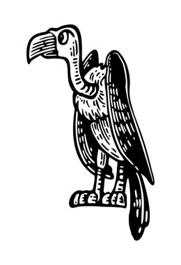 Griffin taşın üstünde oturuyor. Vektör siyah el çizilmiş vintage gravür