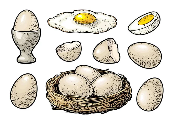 껍질이 둥지가 달걀을 튀기고 삶았다 고전적 페인팅 포스터와 라벨을 배경에 — 스톡 벡터