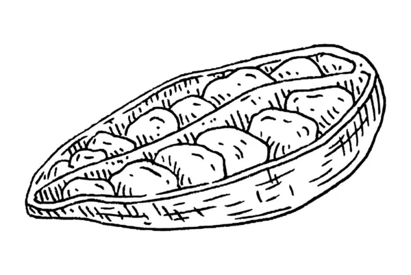 Cardamomo fruta de especias enteras y cortadas a la mitad con semillas. Grabado negro vintage — Vector de stock