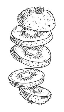 Uçan taze kivi parçaları. Klasik oyma siyah monokrom illüstrasyonu.