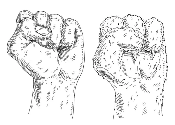 Cat Paw Human Hand Clenched Fist Vintage Monochrome Vector Hatching — Vector de stock