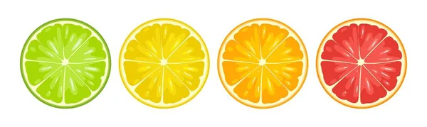 Establecer Rodajas Redondas Cítricos Ilustración Plana Color Vectorial Limón Naranja — Archivo Imágenes Vectoriales
