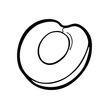 Half cherry berry with seed. Vector black vintage engraving illustration for menu, poster. Isolated on white background