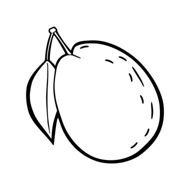 Whole plum with leaf. Vector black vintage engraving illustration for menu, poster. Isolated on white background