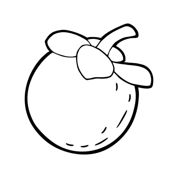 Whole Mangosteen Vector Black Vintage Engraving Illustration Isolated White Background — 图库矢量图片