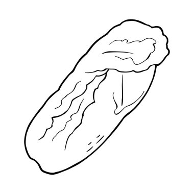 Napa lahana taze başkanı. Vektör siyah vintage illüstrasyon menü, poster, etiket için oyma. Beyaz arka plan üzerinde izole