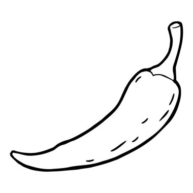 Chilli whole. Vector vintage black engraving illustration. Isolated on white background. Hand drawn design element for label, menu and poster