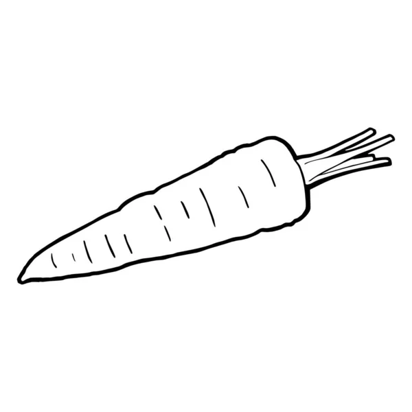 Морковь Целая Векторная Черная Винтажная Гравировка Меню Плаката Этикетки Изолированный — стоковый вектор
