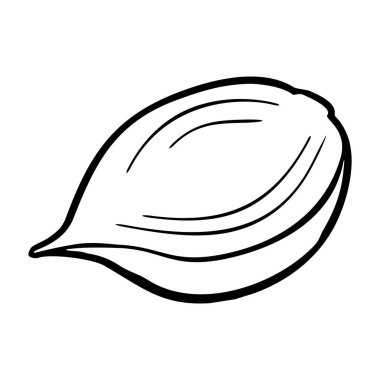 Bütün ve yarım soğan. Vektör siyah vintage oyulmuş gösterim amacıyla menü, poster, etiket. Beyaz arka plan üzerinde izole