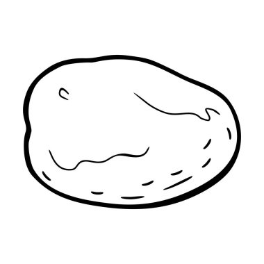 Potato whole. Vector engraving vintage black illustration. Isolated on white background.