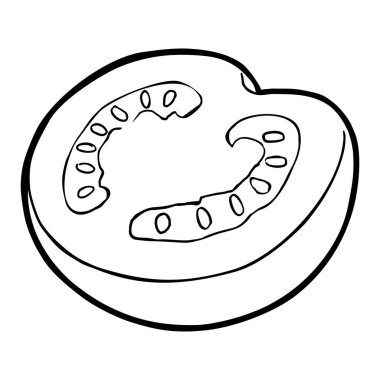 Tomato half. Vector vintage engraving black illustration isolated white background.
