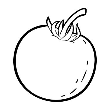 Tomato whole. Vector vintage engraving black illustration isolated white background.