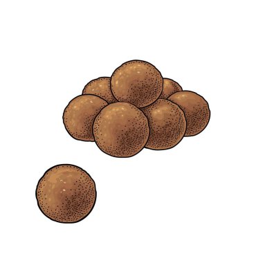 Gulab jamun. Indian traditional food. Vector color vintage engraving realistic illustration. Isolated on white background. Hand drawn design element for menu, poster, web