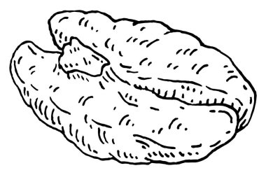 Pecan nut without shell. Vector engraving black vintage illustration. Isolated on white background.