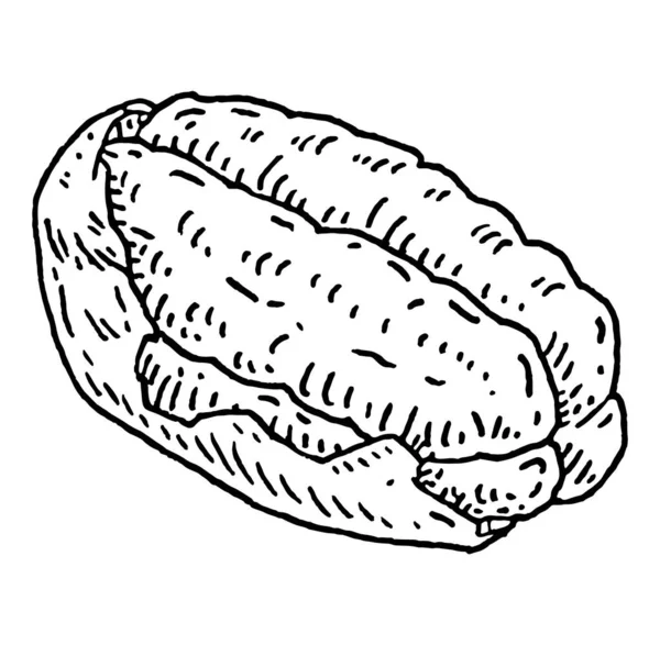 Pecan Half Shelled Vector Engraving Black Vintage Illustration Isolated White — 스톡 벡터